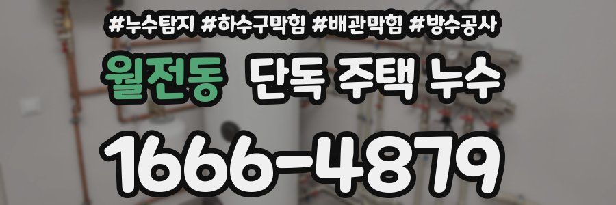 월전동 단독 주택 누수