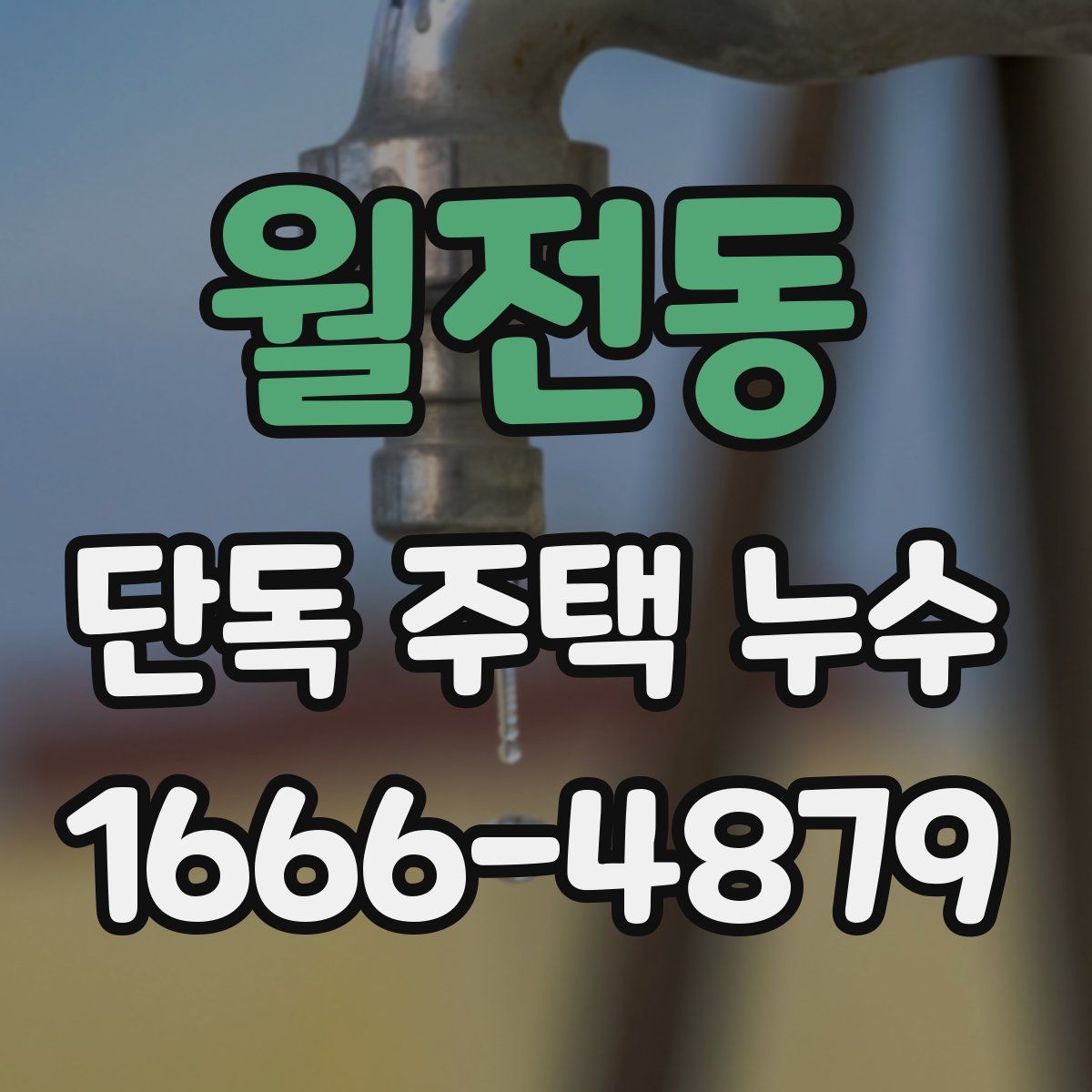 월전동 단독 주택 누수