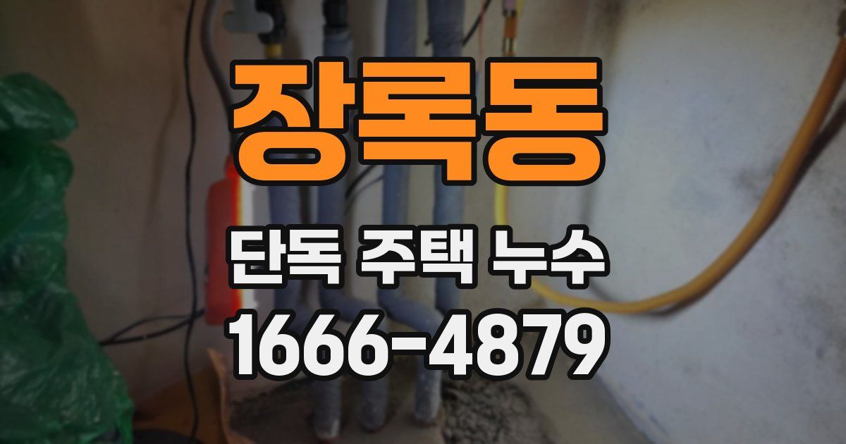 장록동 단독 주택 누수