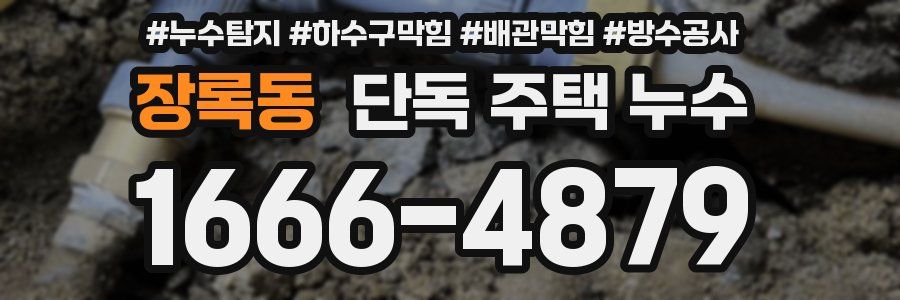 장록동 단독 주택 누수