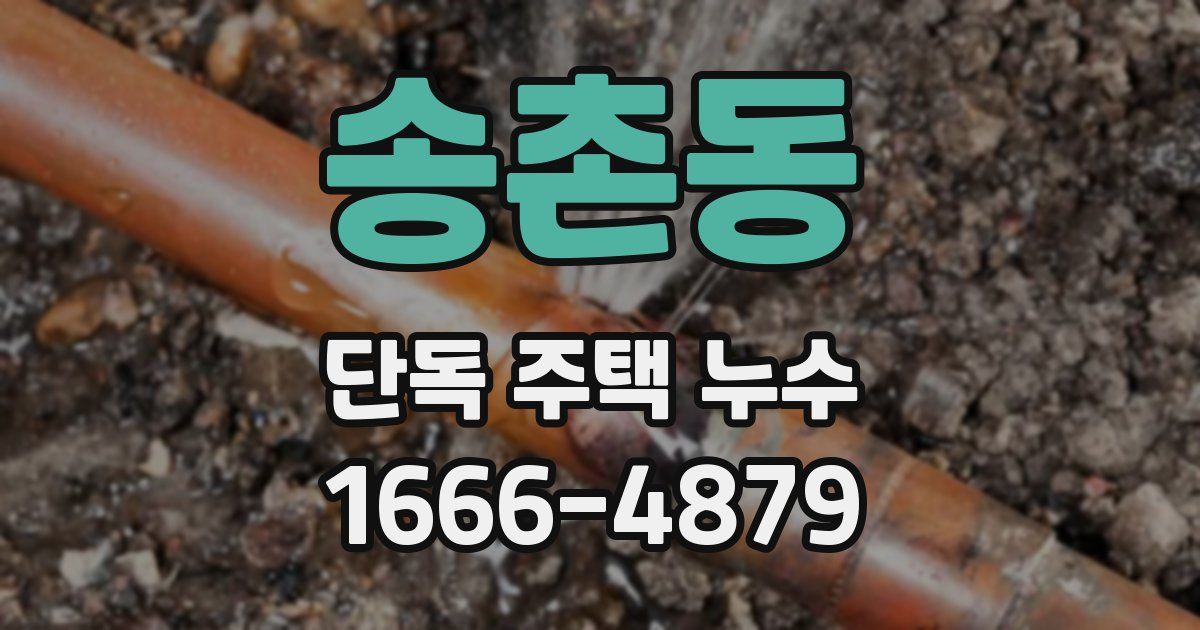 송촌동 단독 주택 누수