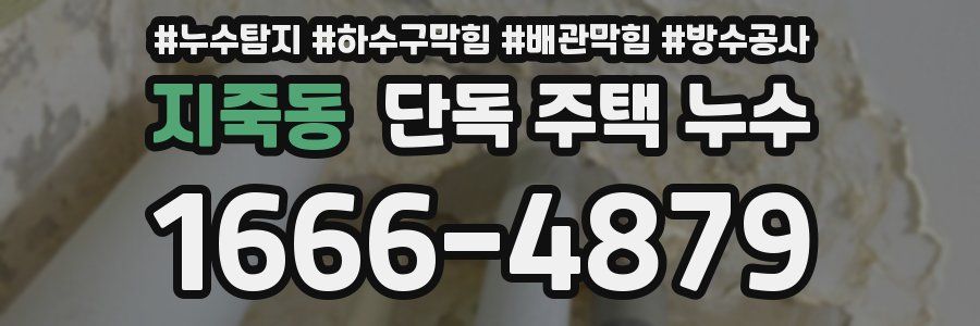 지죽동 단독 주택 누수