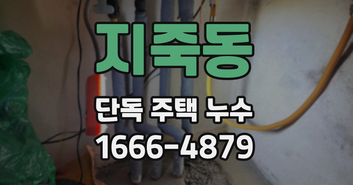 지죽동 단독 주택 누수