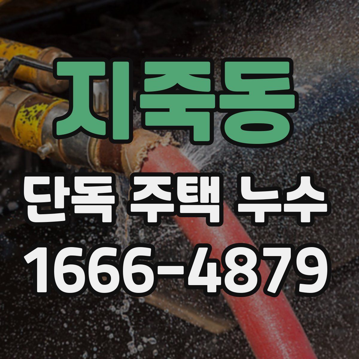 지죽동 단독 주택 누수