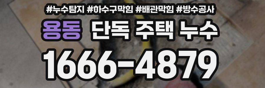 용동 단독 주택 누수