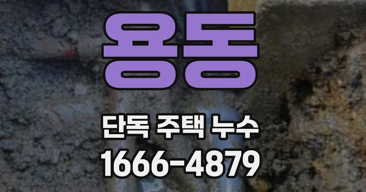 용동 단독 주택 누수