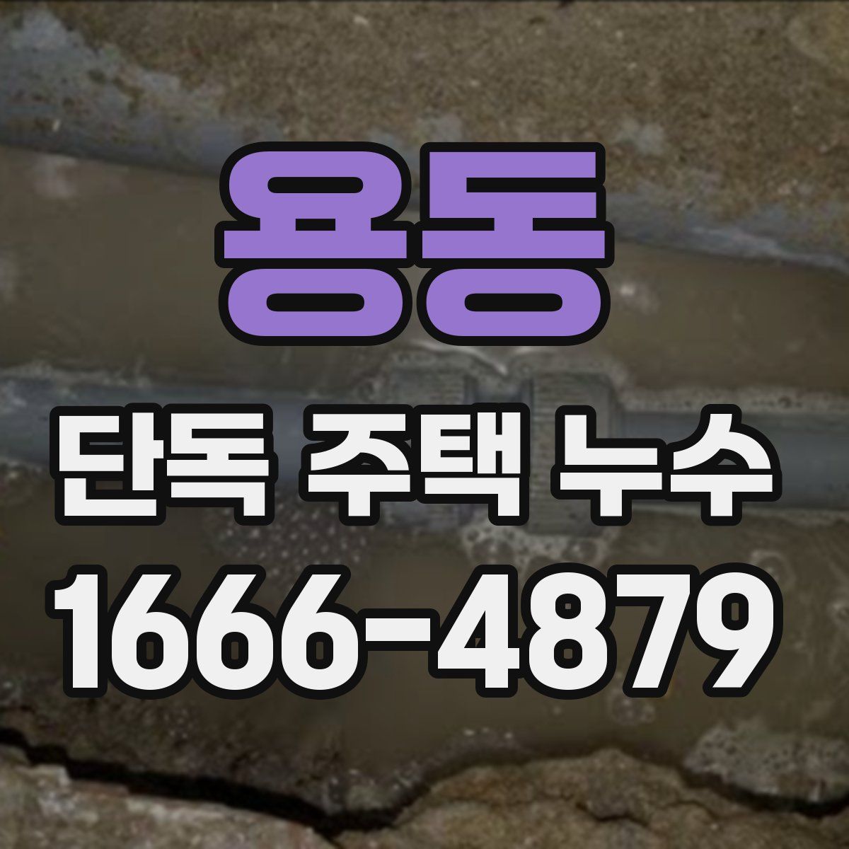 용동 단독 주택 누수