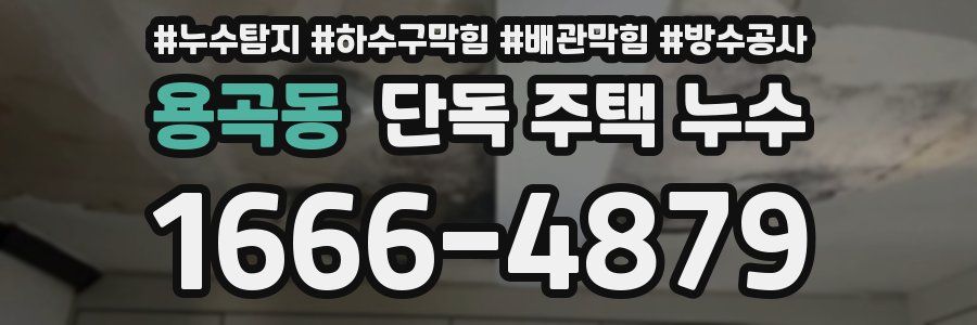 용곡동 단독 주택 누수