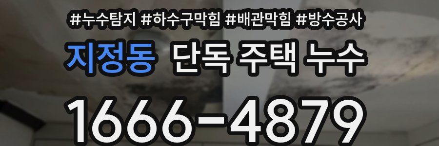 지정동 단독 주택 누수