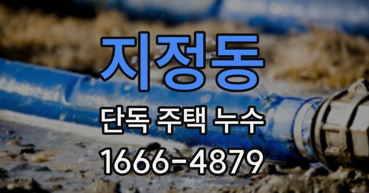 지정동 단독 주택 누수