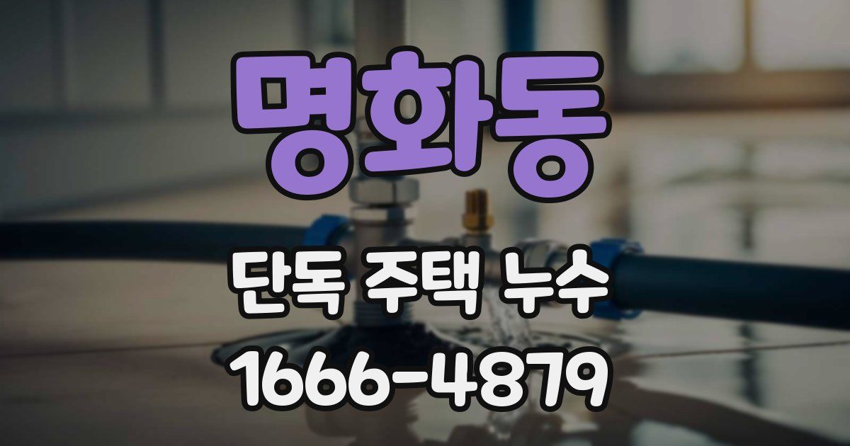 명화동 단독 주택 누수