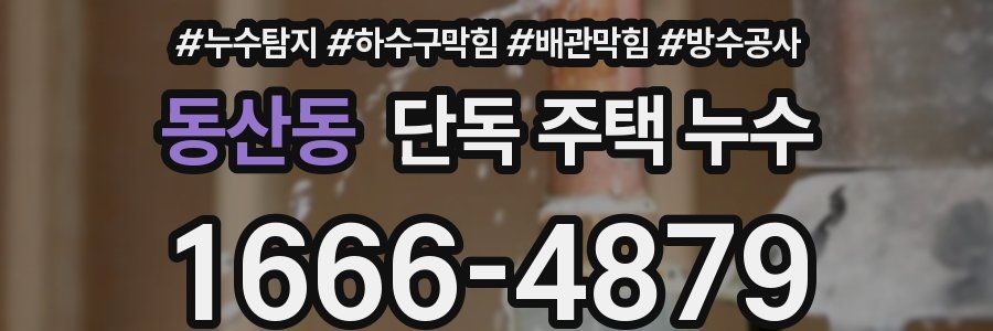 동산동 단독 주택 누수