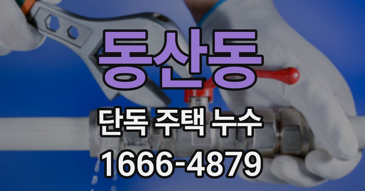 동산동 단독 주택 누수