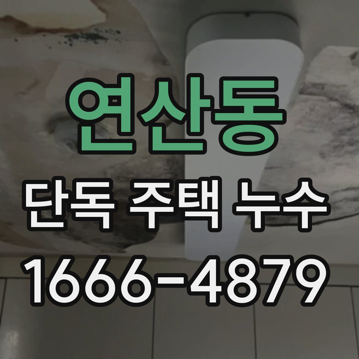 연산동 단독 주택 누수
