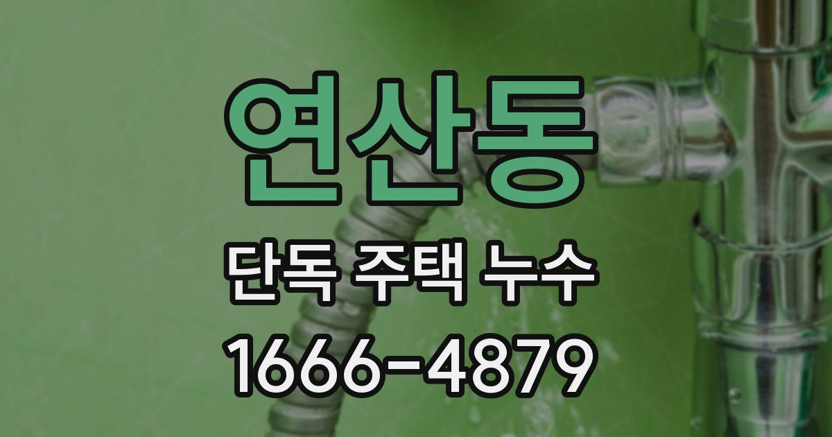 연산동 단독 주택 누수