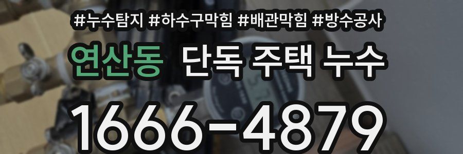 연산동 단독 주택 누수