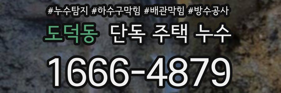 도덕동 단독 주택 누수