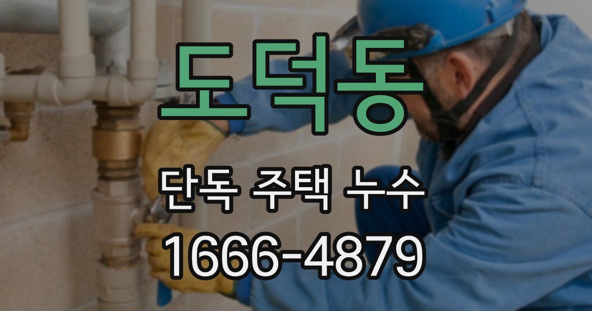 도덕동 단독 주택 누수