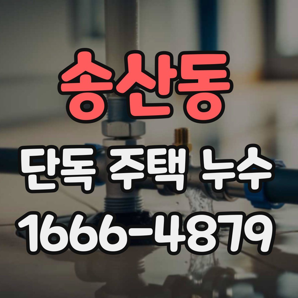 송산동 단독 주택 누수
