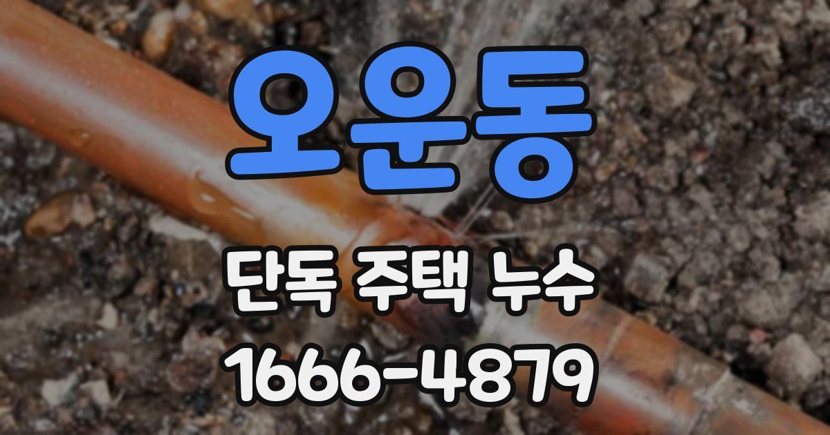 오운동 단독 주택 누수