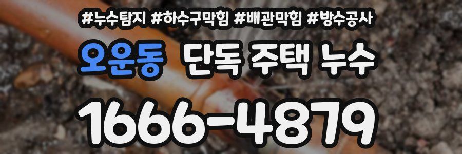 오운동 단독 주택 누수