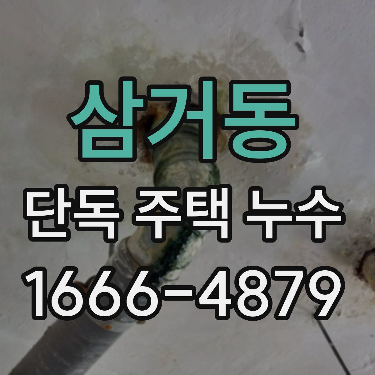 삼거동 단독 주택 누수