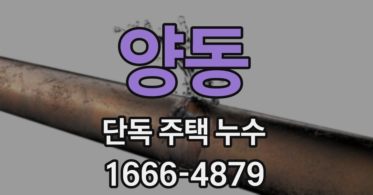 양동 단독 주택 누수