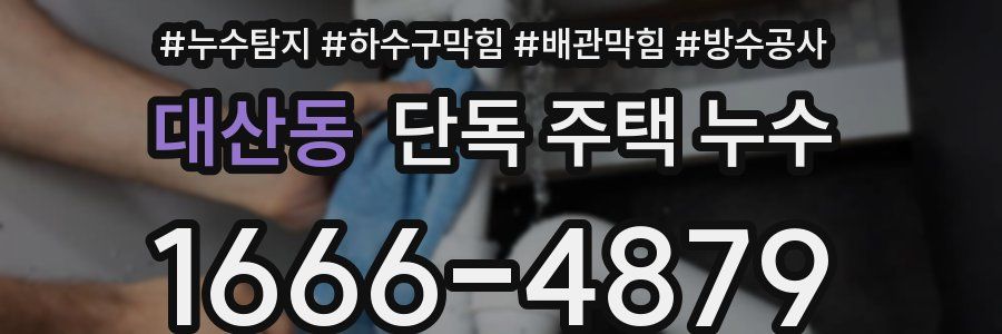 대산동 단독 주택 누수