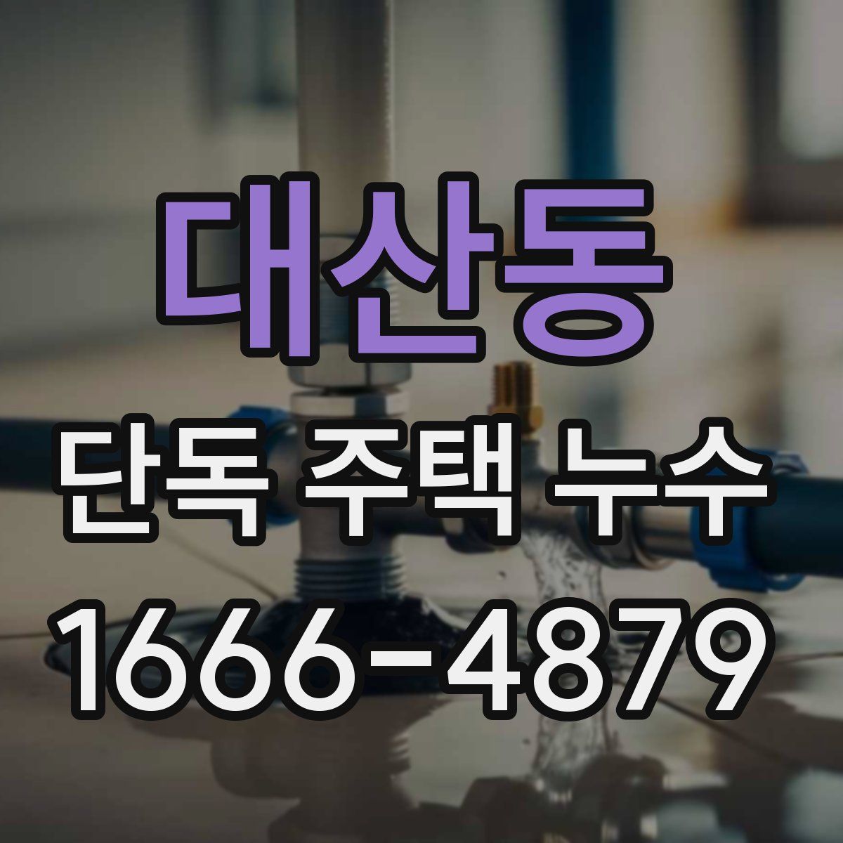 대산동 단독 주택 누수