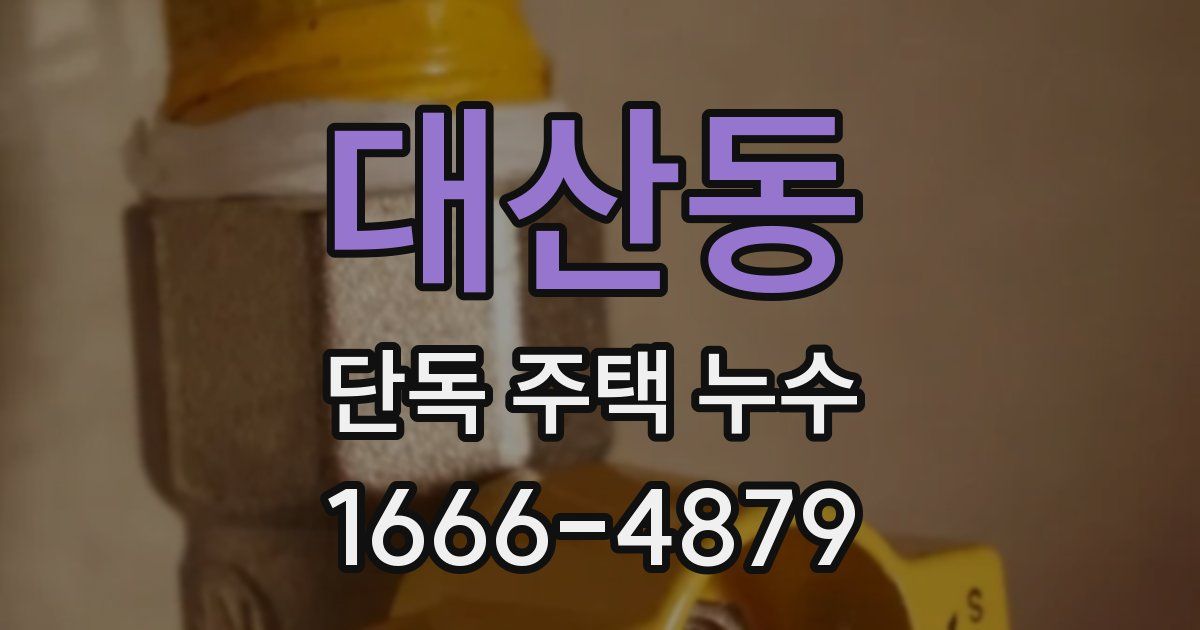 대산동 단독 주택 누수