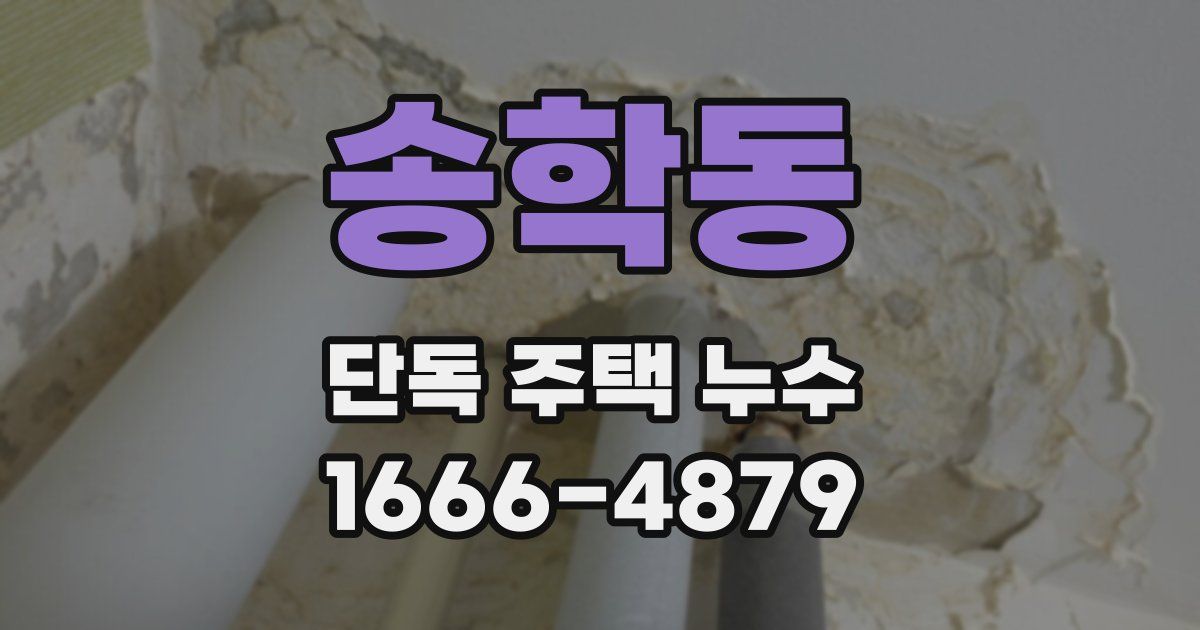 송학동 단독 주택 누수