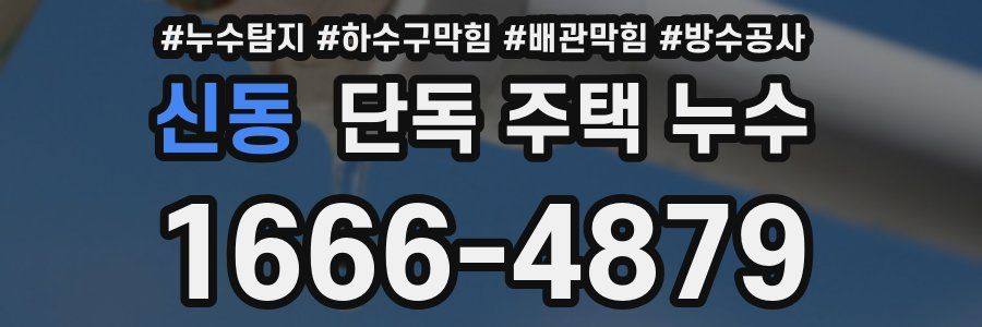 신동 단독 주택 누수
