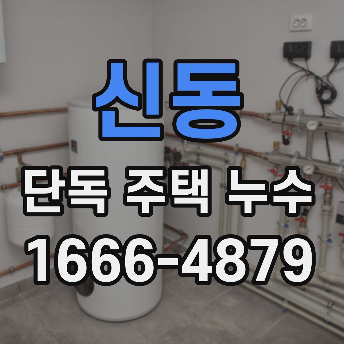 신동 단독 주택 누수