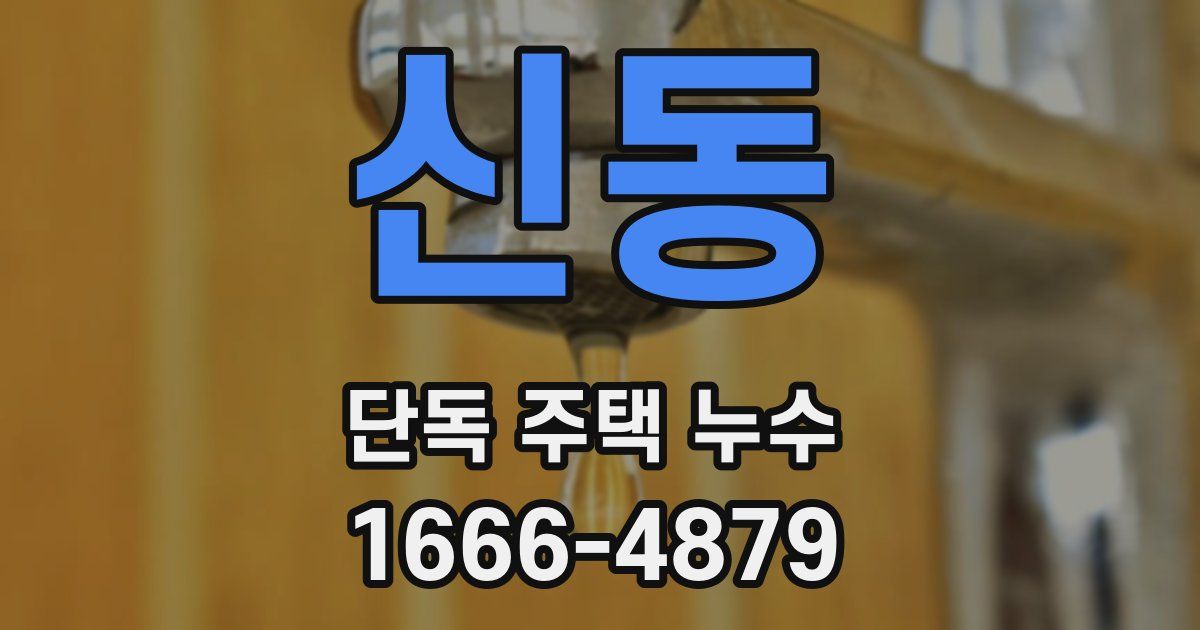 신동 단독 주택 누수