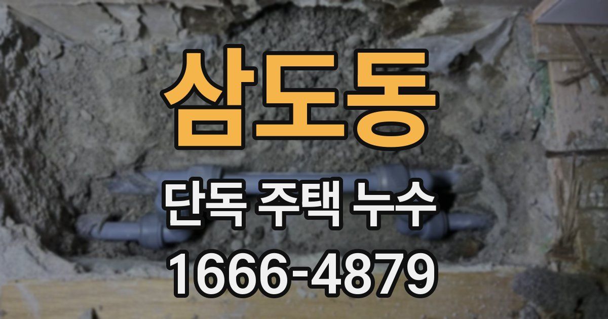 삼도동 단독 주택 누수