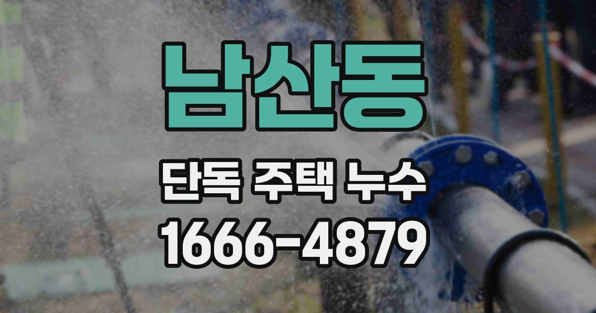 남산동 단독 주택 누수