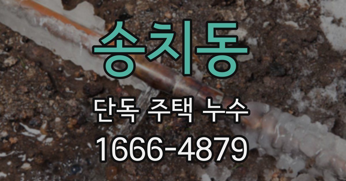 송치동 단독 주택 누수