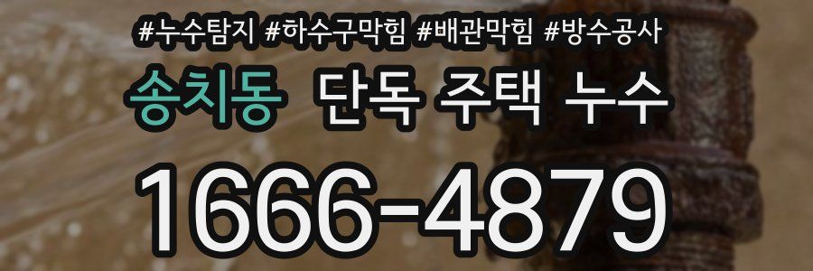 송치동 단독 주택 누수