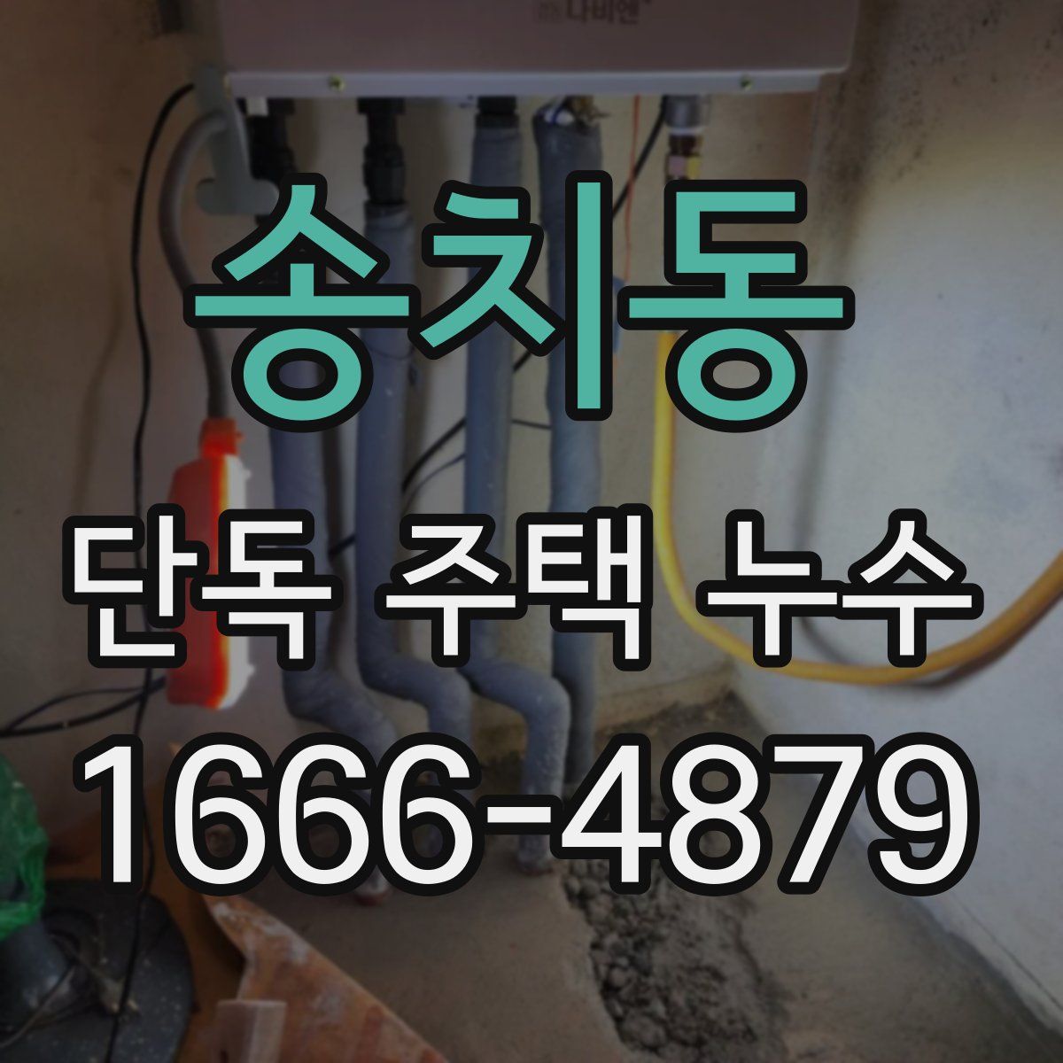 송치동 단독 주택 누수