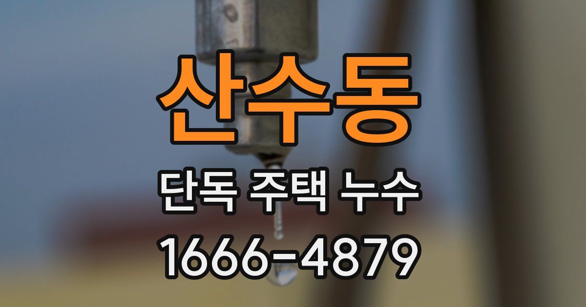 산수동 단독 주택 누수