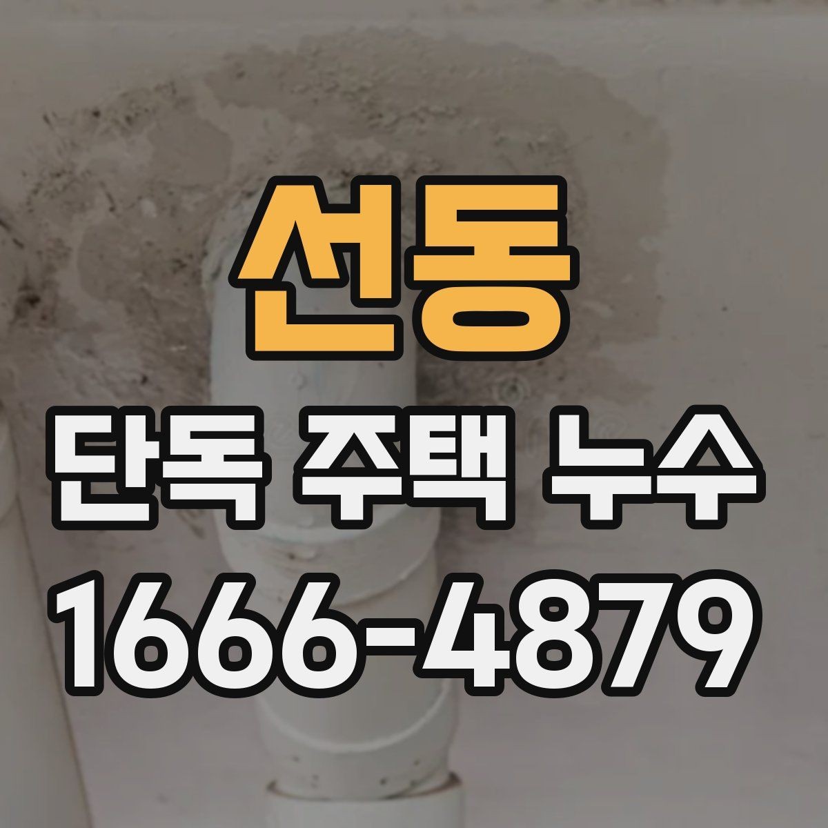 선동 단독 주택 누수 점검에서 배관 확인이 중요한 이유