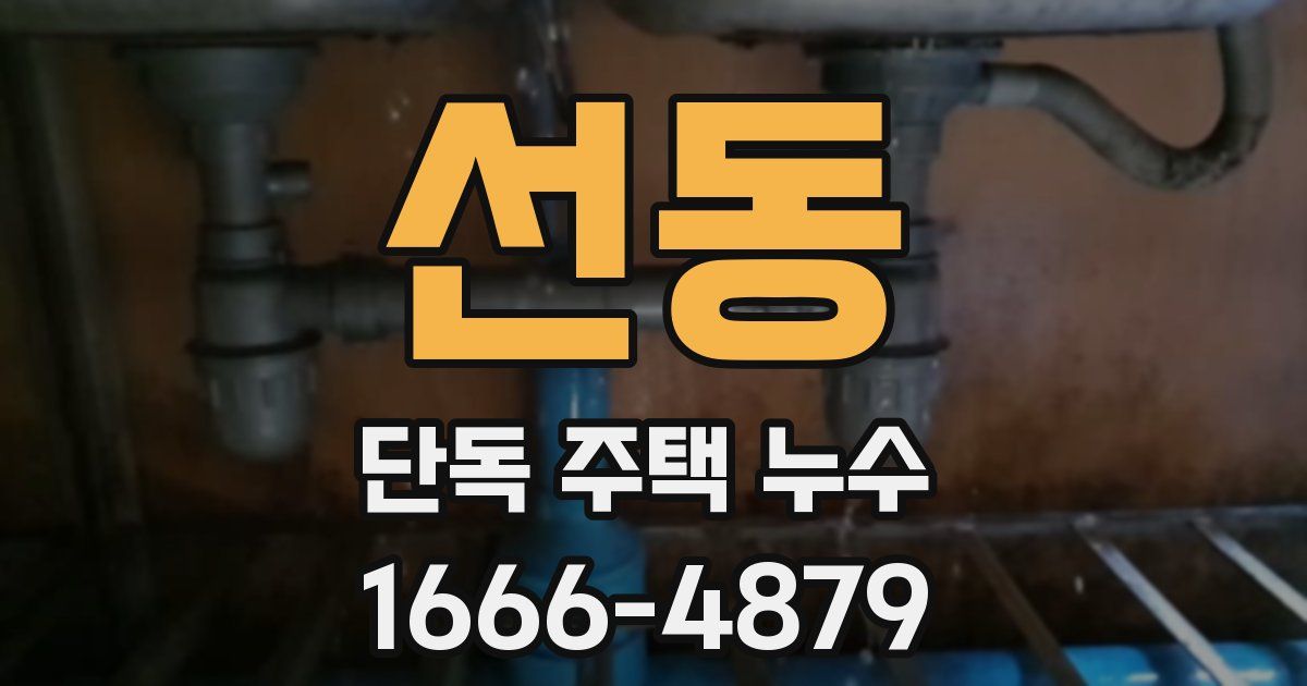 선동 단독 주택 누수