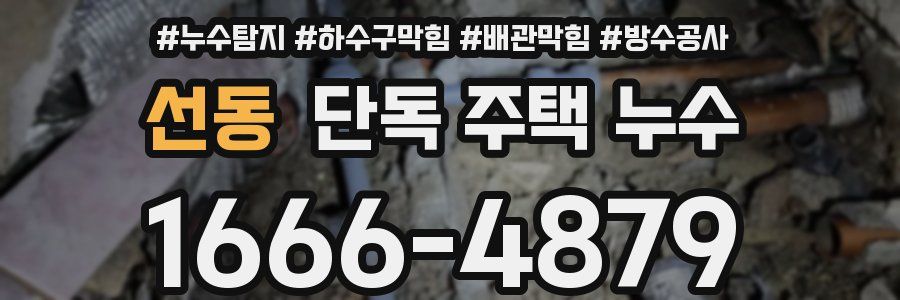 선동 단독 주택 누수
