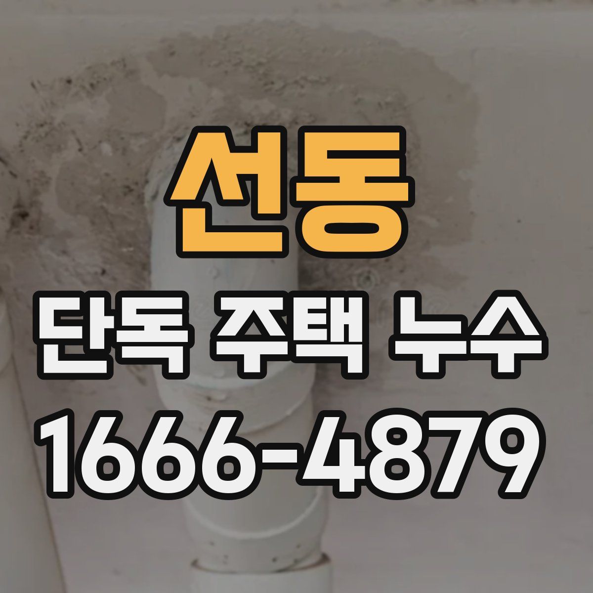 선동 단독 주택 누수
