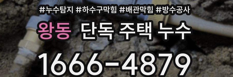 왕동 단독 주택 누수
