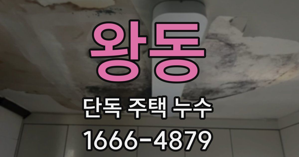왕동 단독 주택 누수