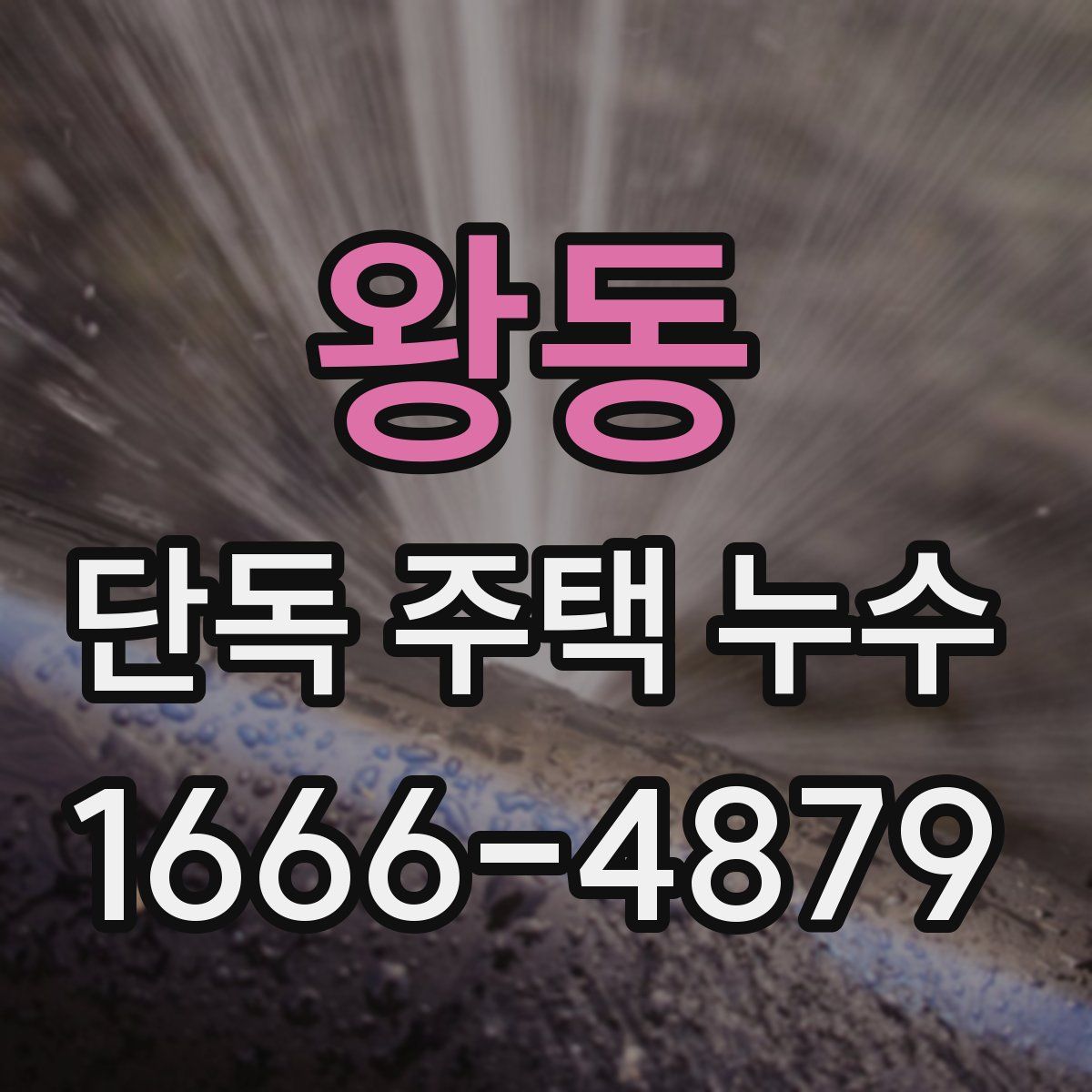 왕동 단독 주택 누수