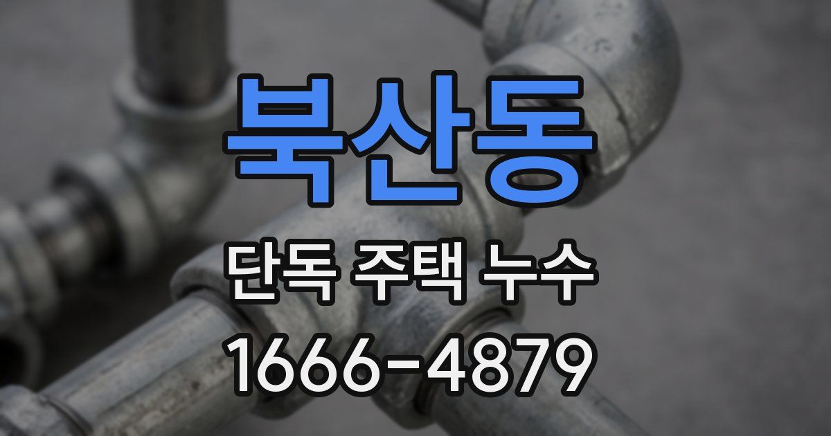 북산동 단독 주택 누수