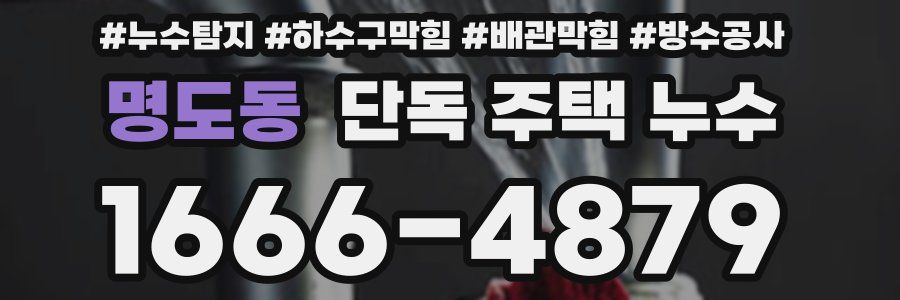 명도동 단독 주택 누수