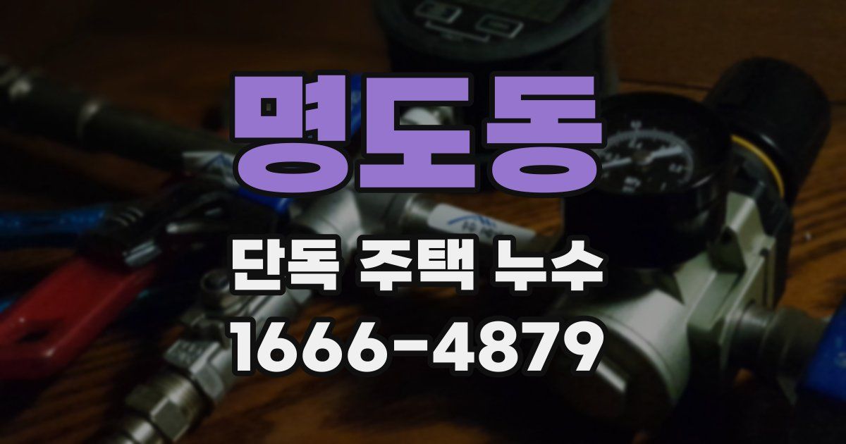 명도동 단독 주택 누수